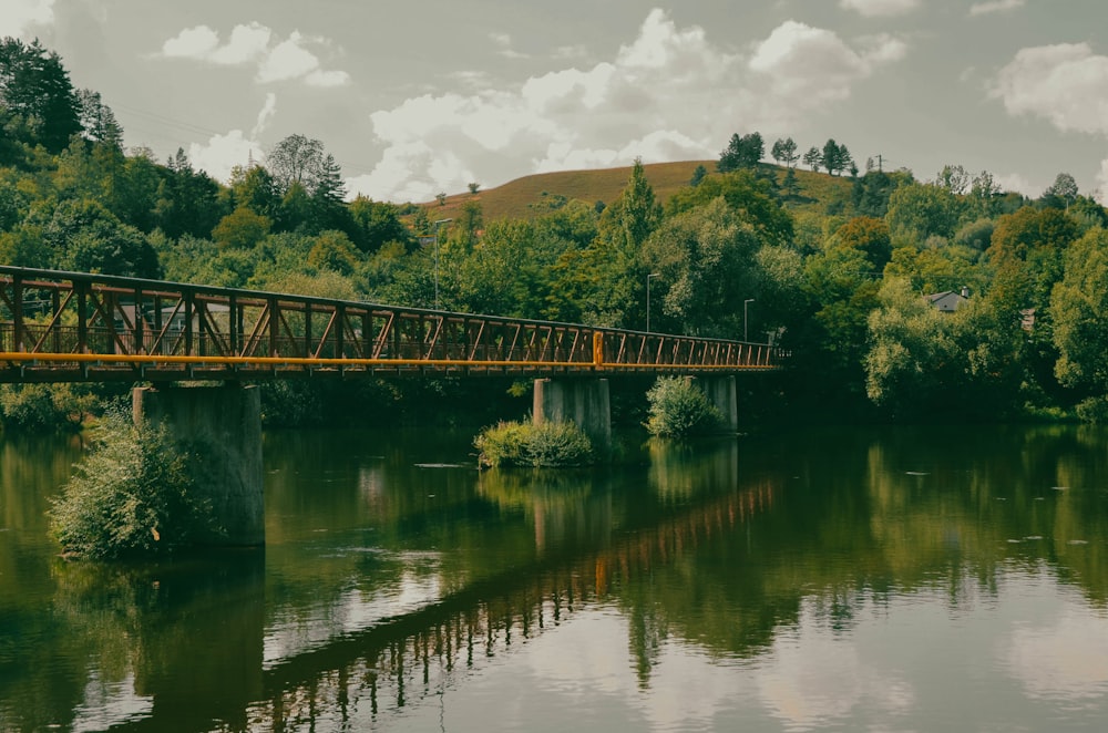 a bridge over a body of water surrounded by trees