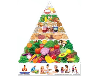 a pyramid of food that includes fruits and vegetables