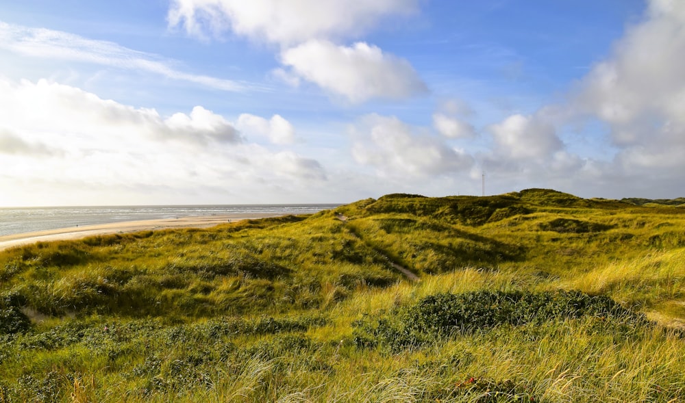 a grassy hill with a body of water in the background