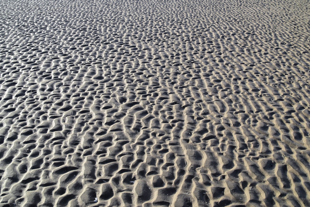 uma praia de areia com pegadas na areia