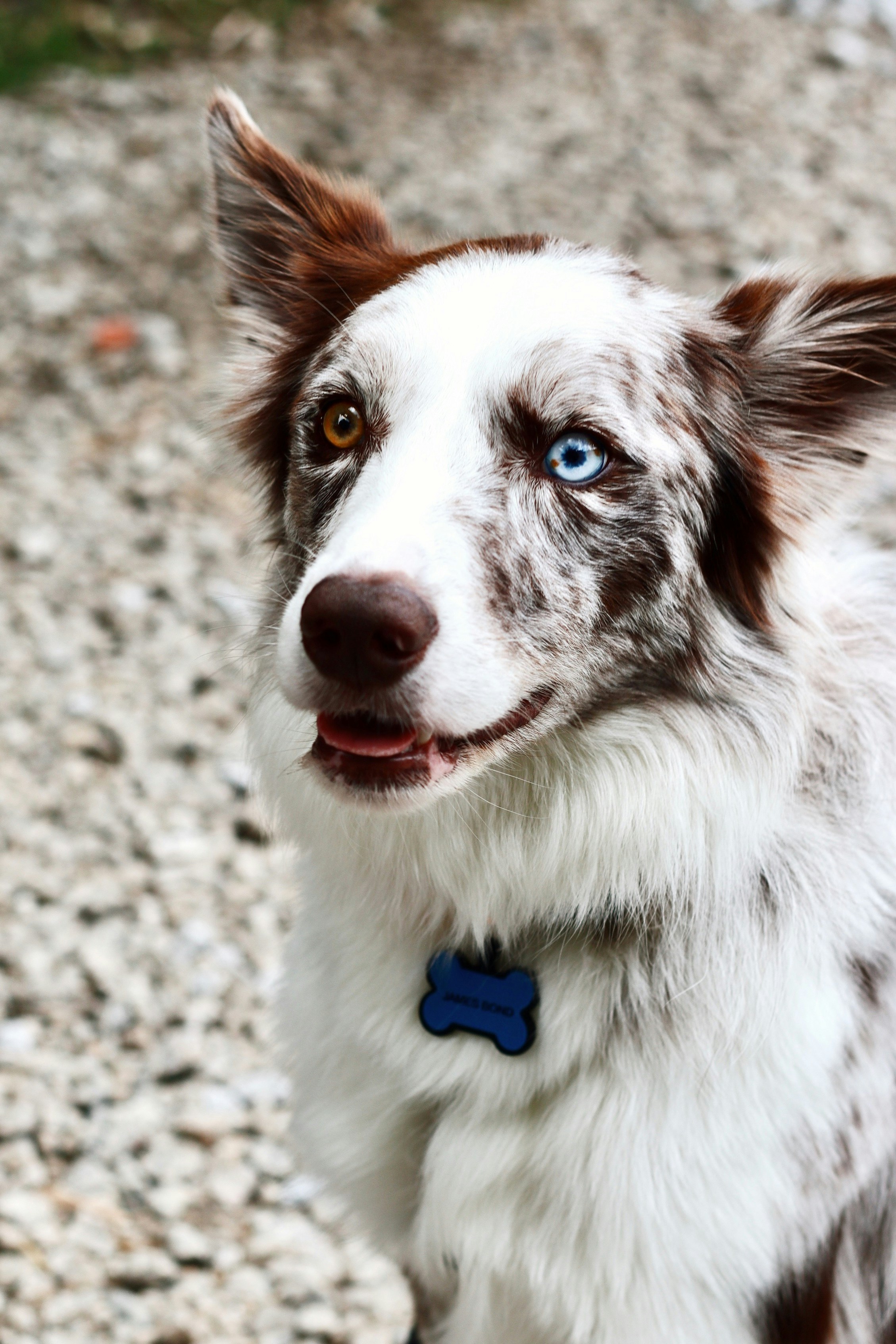 Photo by nathanareboucas