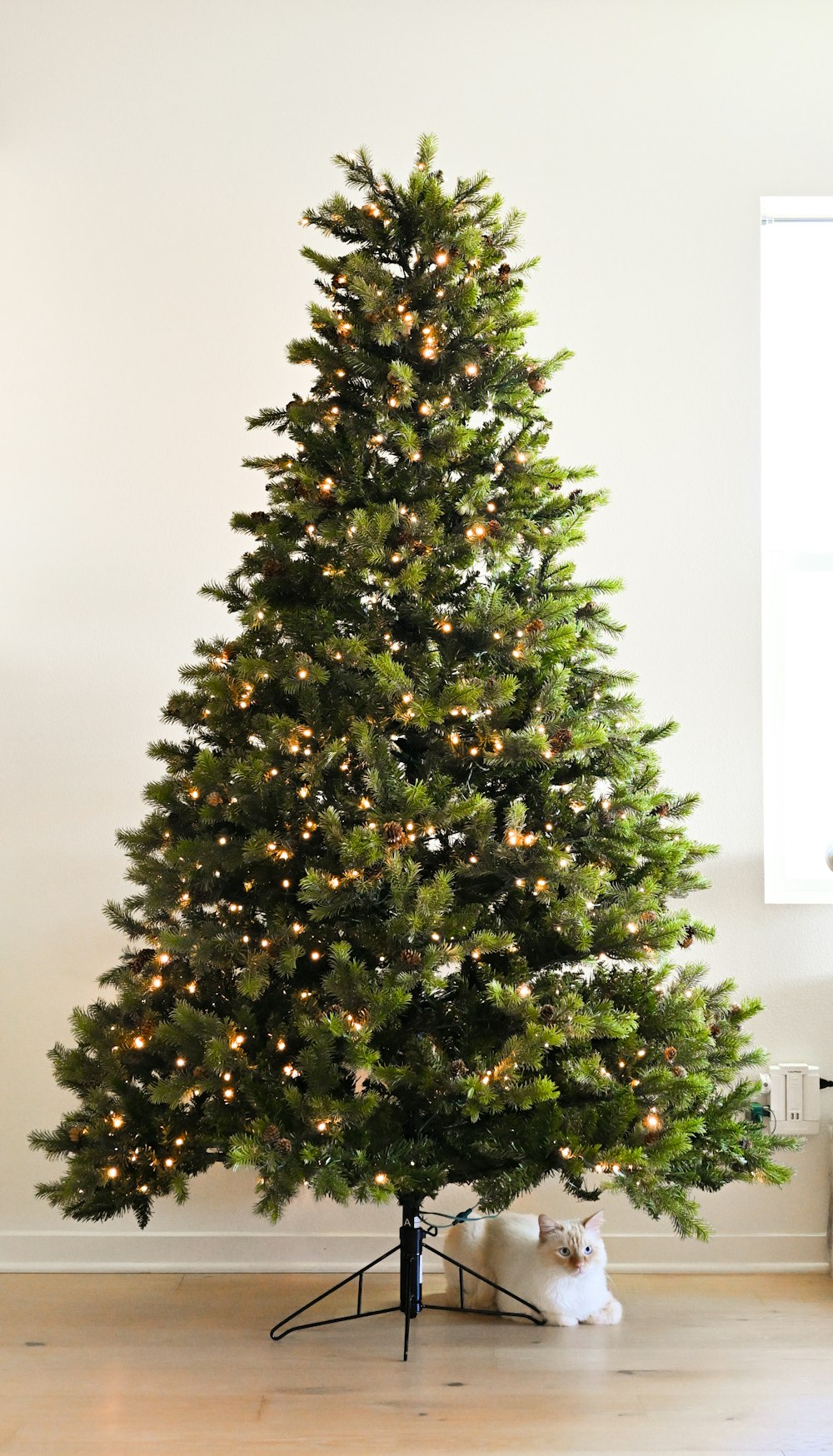 a small christmas tree with lights in a room