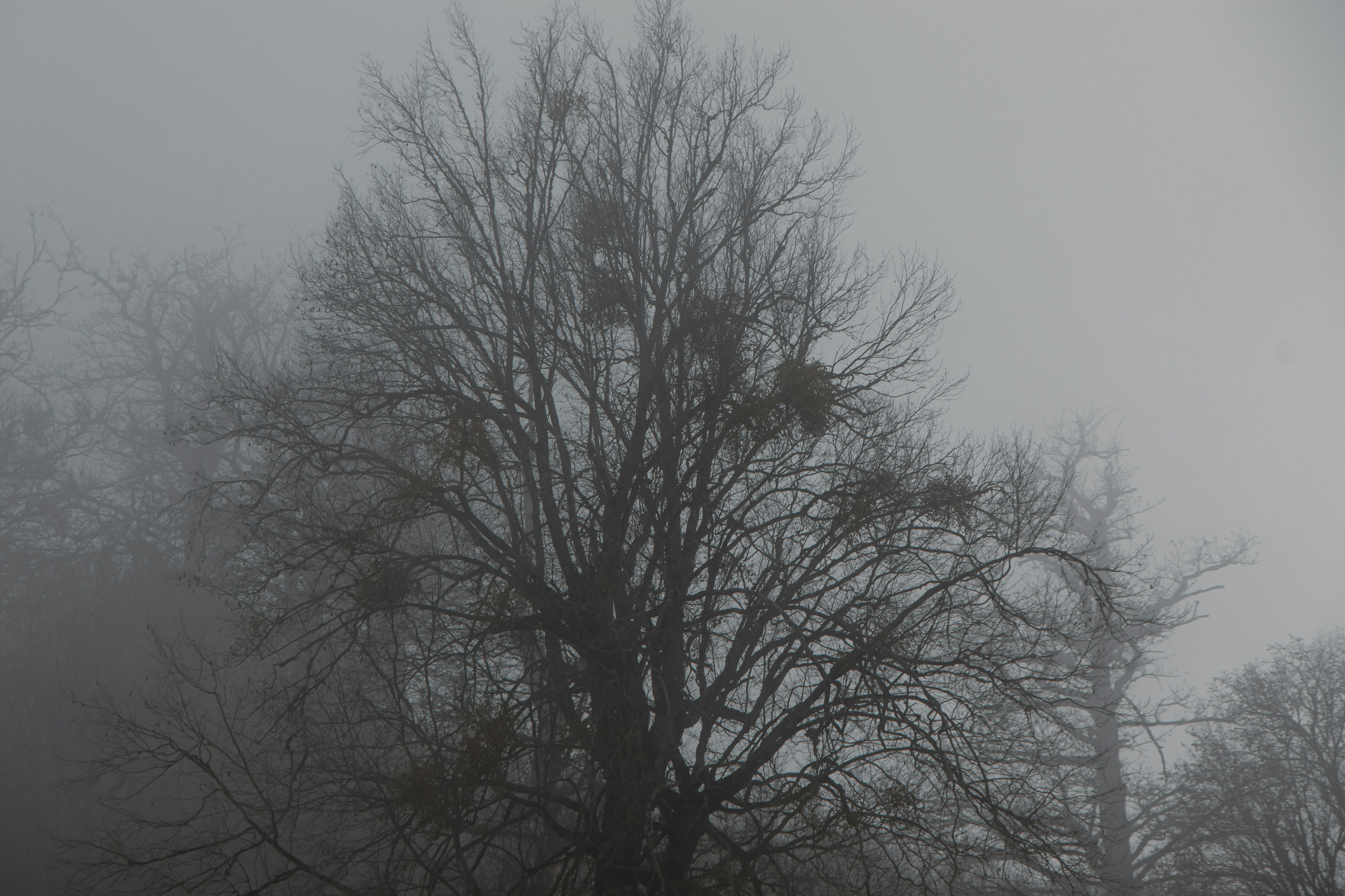 Photo by mahdibafande