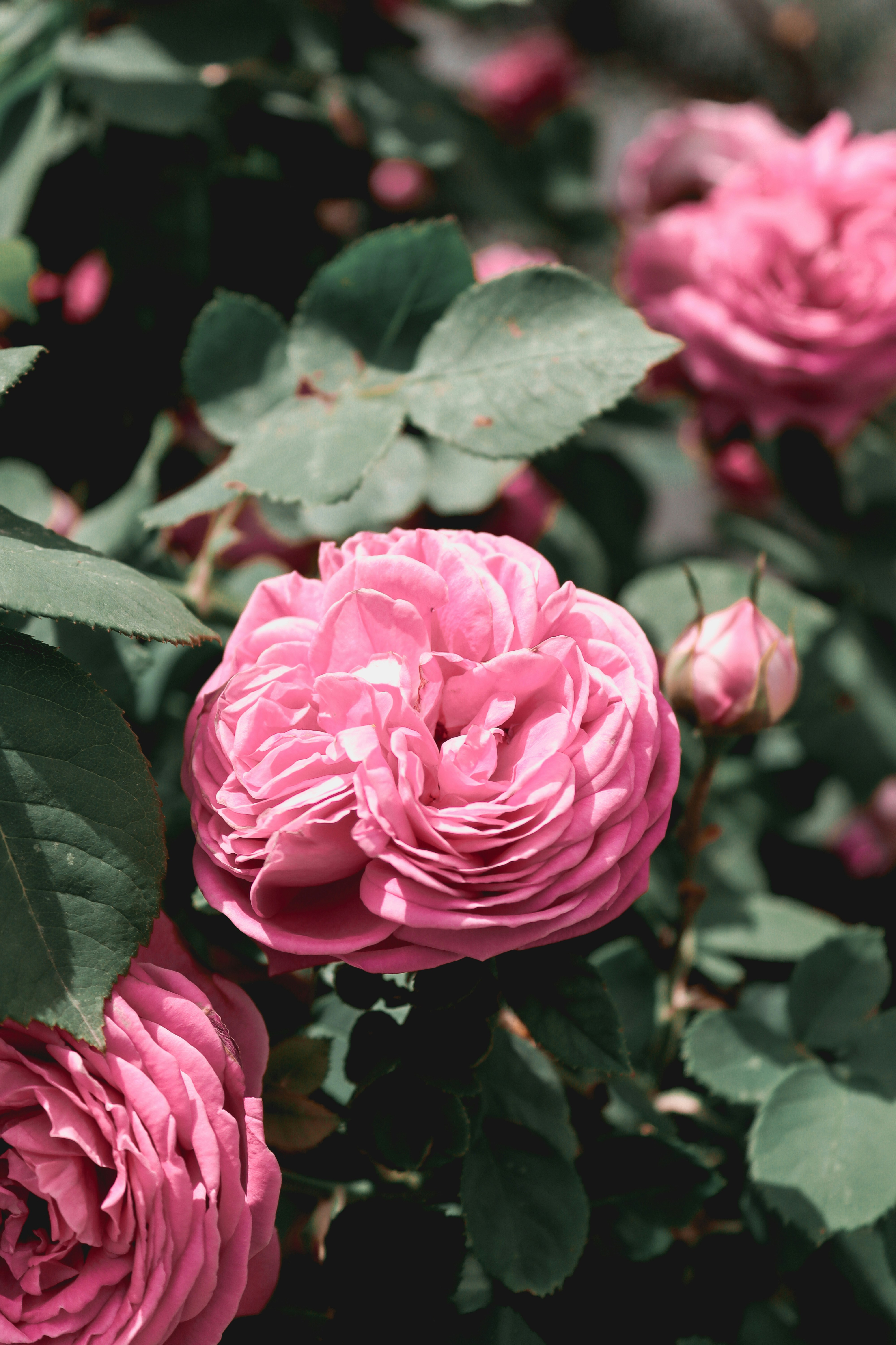 Photo by seydanuryuce