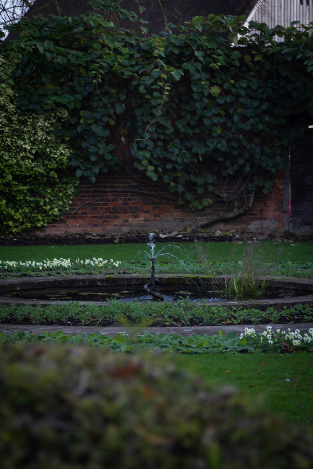 a fire hydrant sitting in the middle of a garden