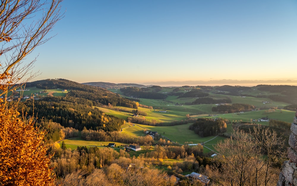 a scenic view of a valley surrounded by trees