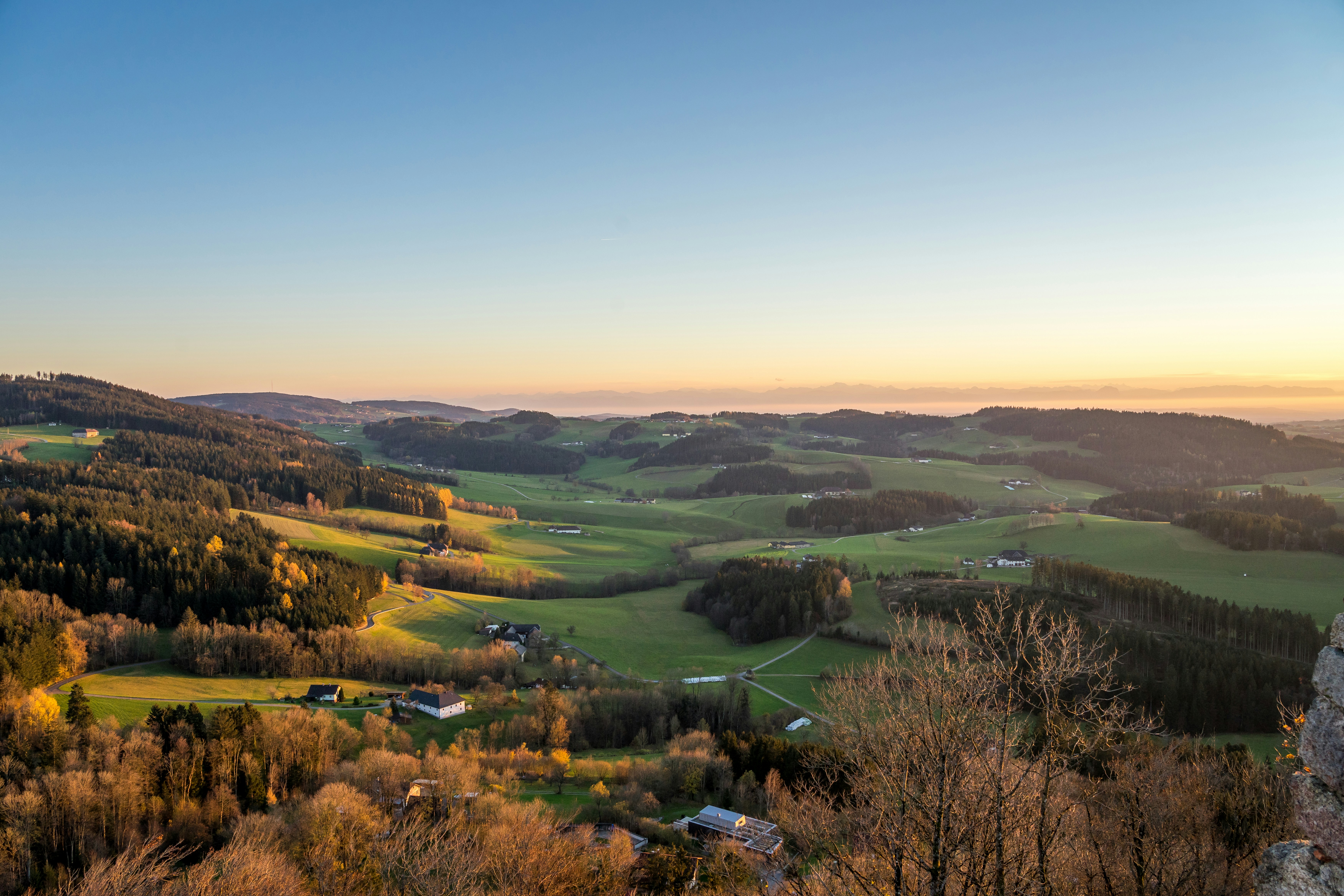 Fall Fun: Exciting Activities to Enjoy with Your Dog