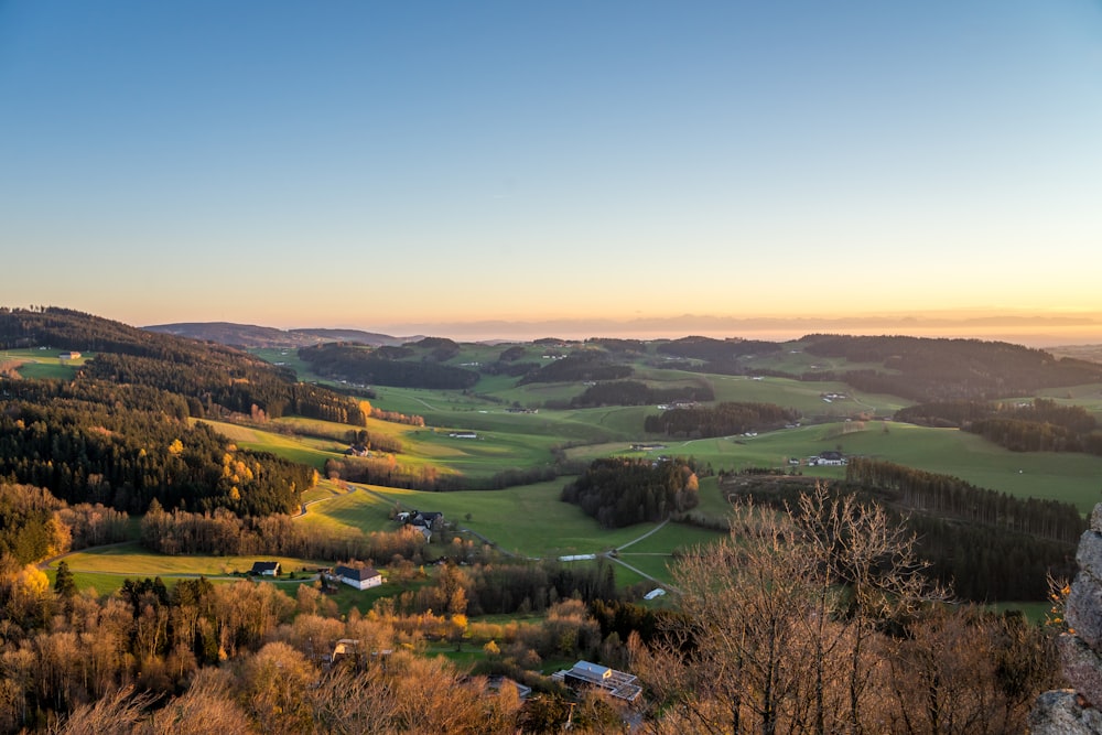 a scenic view of a valley surrounded by trees