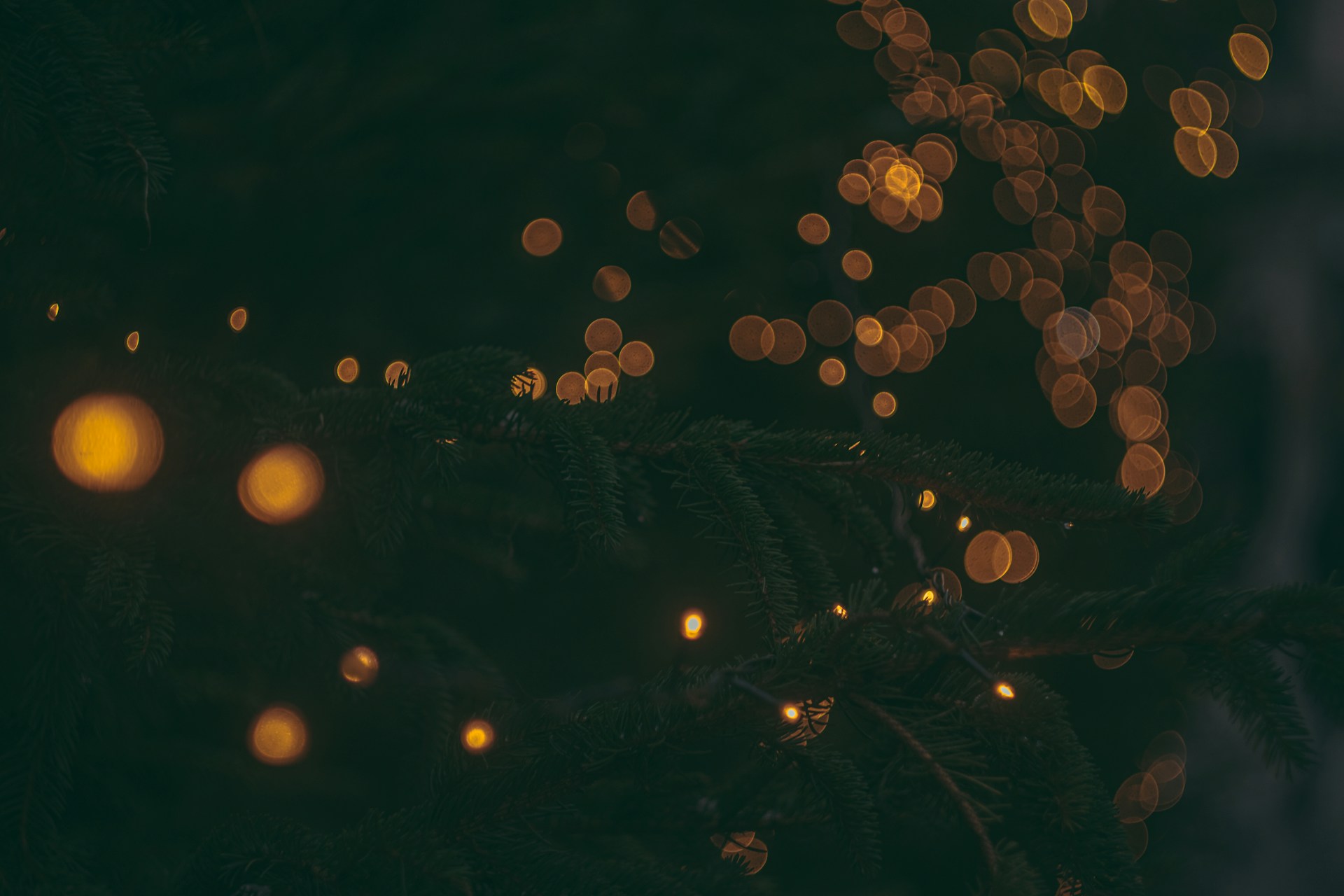 a blurry photo of a christmas tree with lights