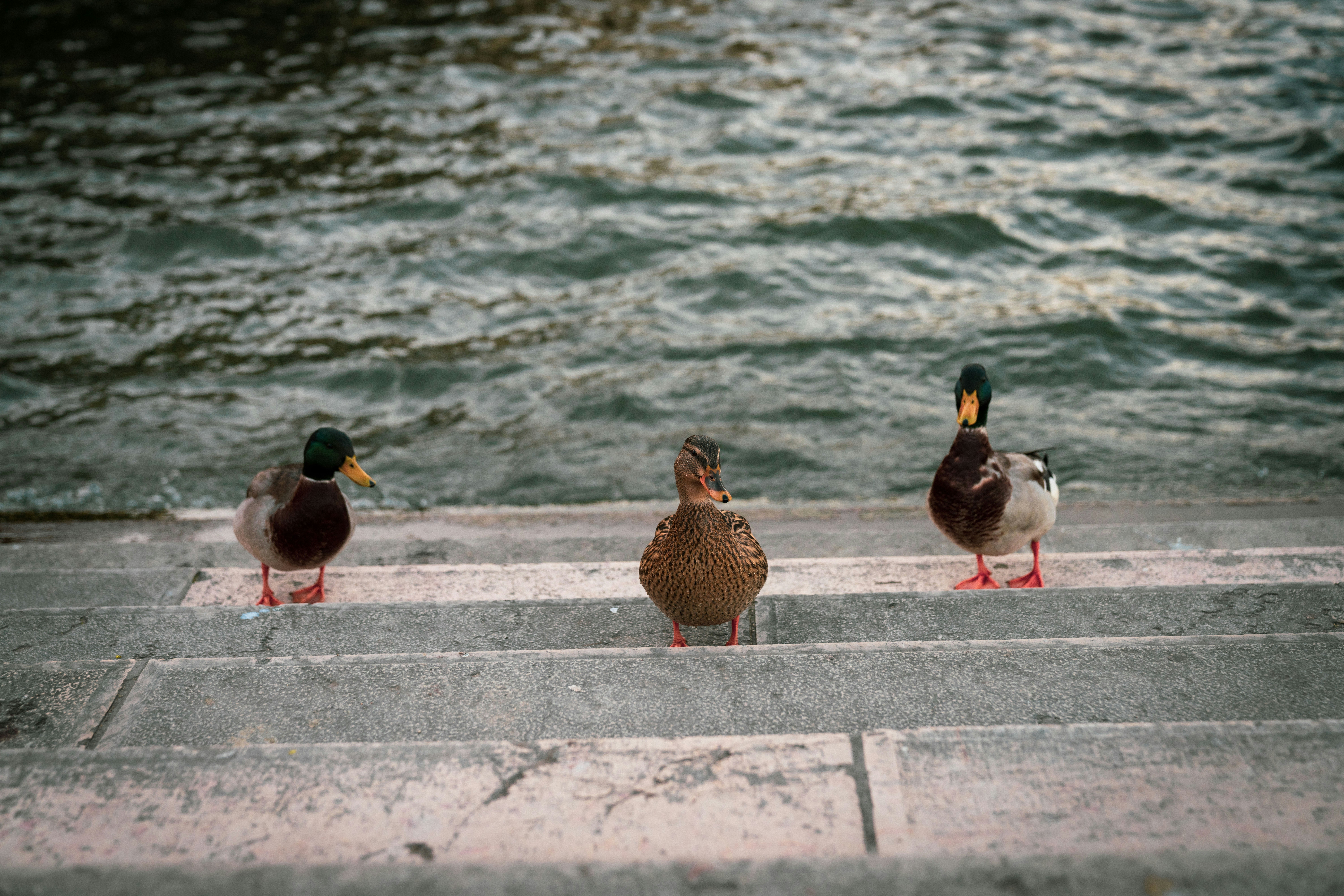 photo-1670714060927-f59c2894590e?ixid=M3wxMjA3fDB8MXxzZWFyY2h8N3x8bmF2aWdhdGUlMjB0byUyMHRoZXNlJTIwZ3V5c3xlbnwwfHx8fDE3NDkxMjI3MDd8MA\u0026ixlib=rb-4.1.0