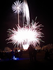 A vibrant fireworks display explodes in the night sky, creating a spectacular array of colors and patterns. Silhouettes of people are visible in the foreground, observing the event while seated on the grass. The contrast between the bright fireworks and the dark landscape accentuates the scene's festive atmosphere.