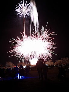 A vibrant fireworks display explodes in the night sky, creating a spectacular array of colors and patterns. Silhouettes of people are visible in the foreground, observing the event while seated on the grass. The contrast between the bright fireworks and the dark landscape accentuates the scene's festive atmosphere.