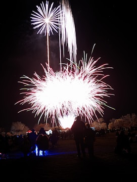 A vibrant fireworks display explodes in the night sky, creating a spectacular array of colors and patterns. Silhouettes of people are visible in the foreground, observing the event while seated on the grass. The contrast between the bright fireworks and the dark landscape accentuates the scene's festive atmosphere.