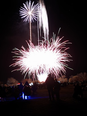 A vibrant fireworks display explodes in the night sky, creating a spectacular array of colors and patterns. Silhouettes of people are visible in the foreground, observing the event while seated on the grass. The contrast between the bright fireworks and the dark landscape accentuates the scene's festive atmosphere.
