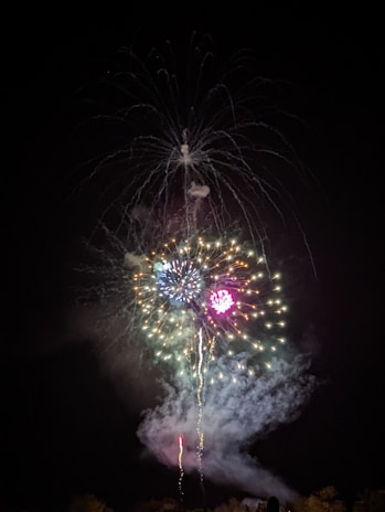 Night sky filled with cascading, twinkling fireworks in rich colors.