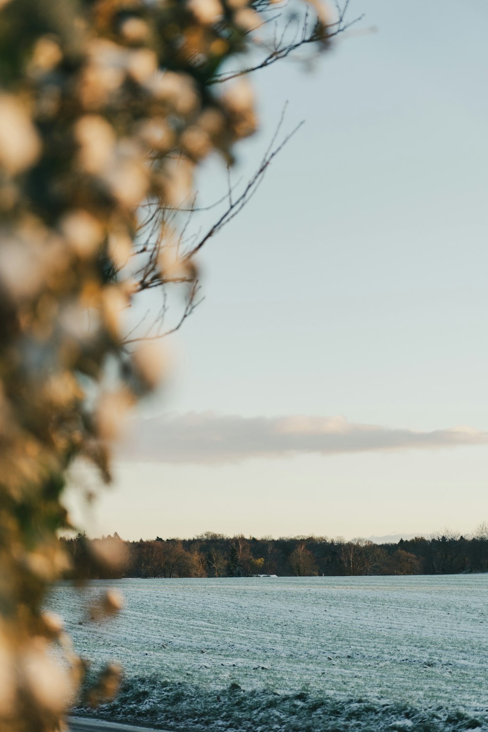 a body of water with trees in the background