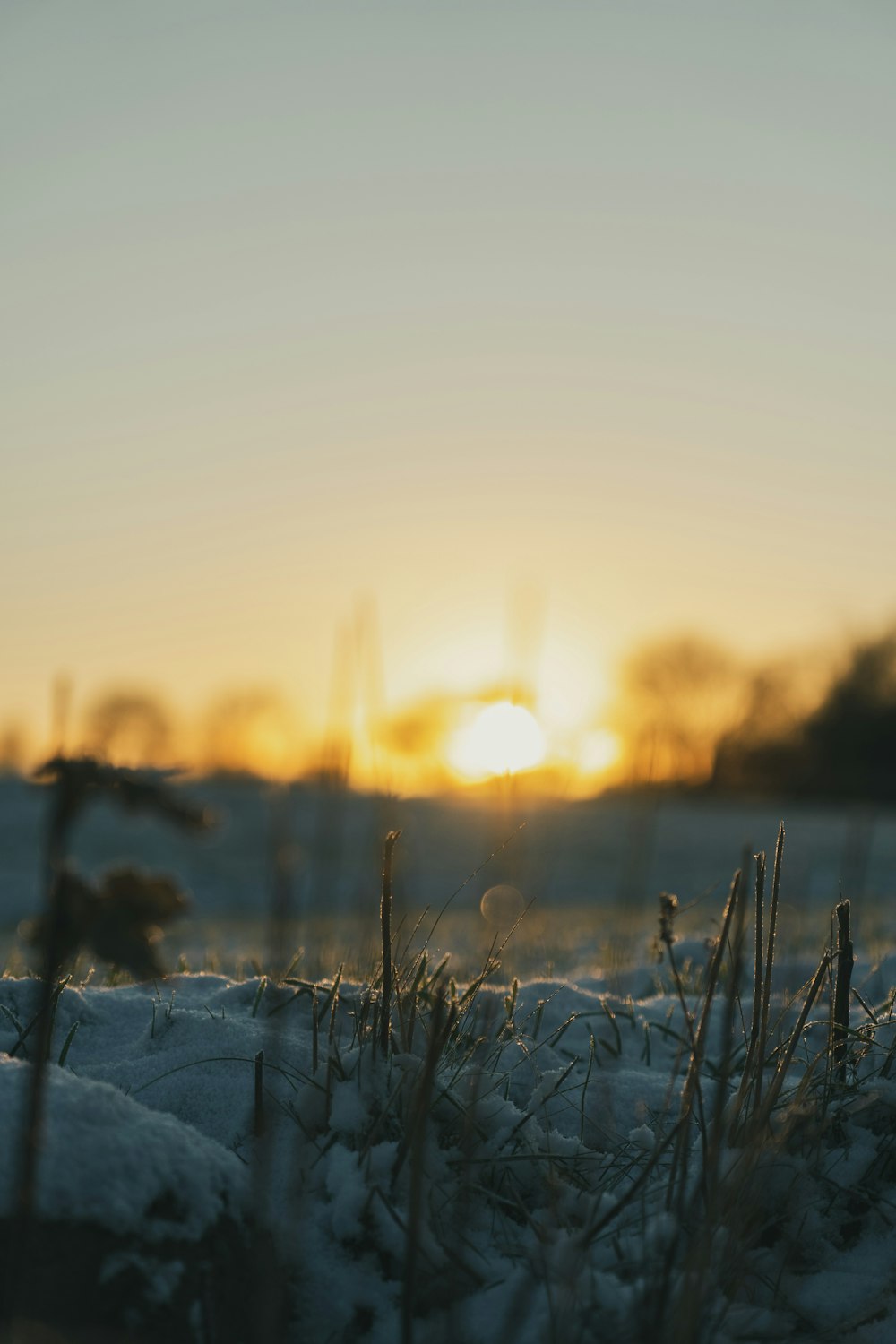 the sun is setting over a snowy field