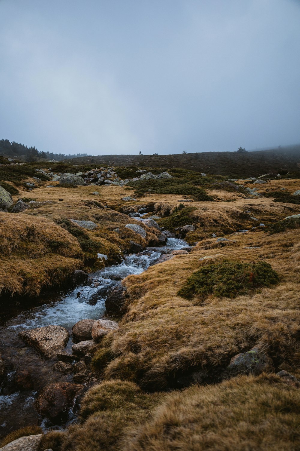 a stream running through a grass covered field