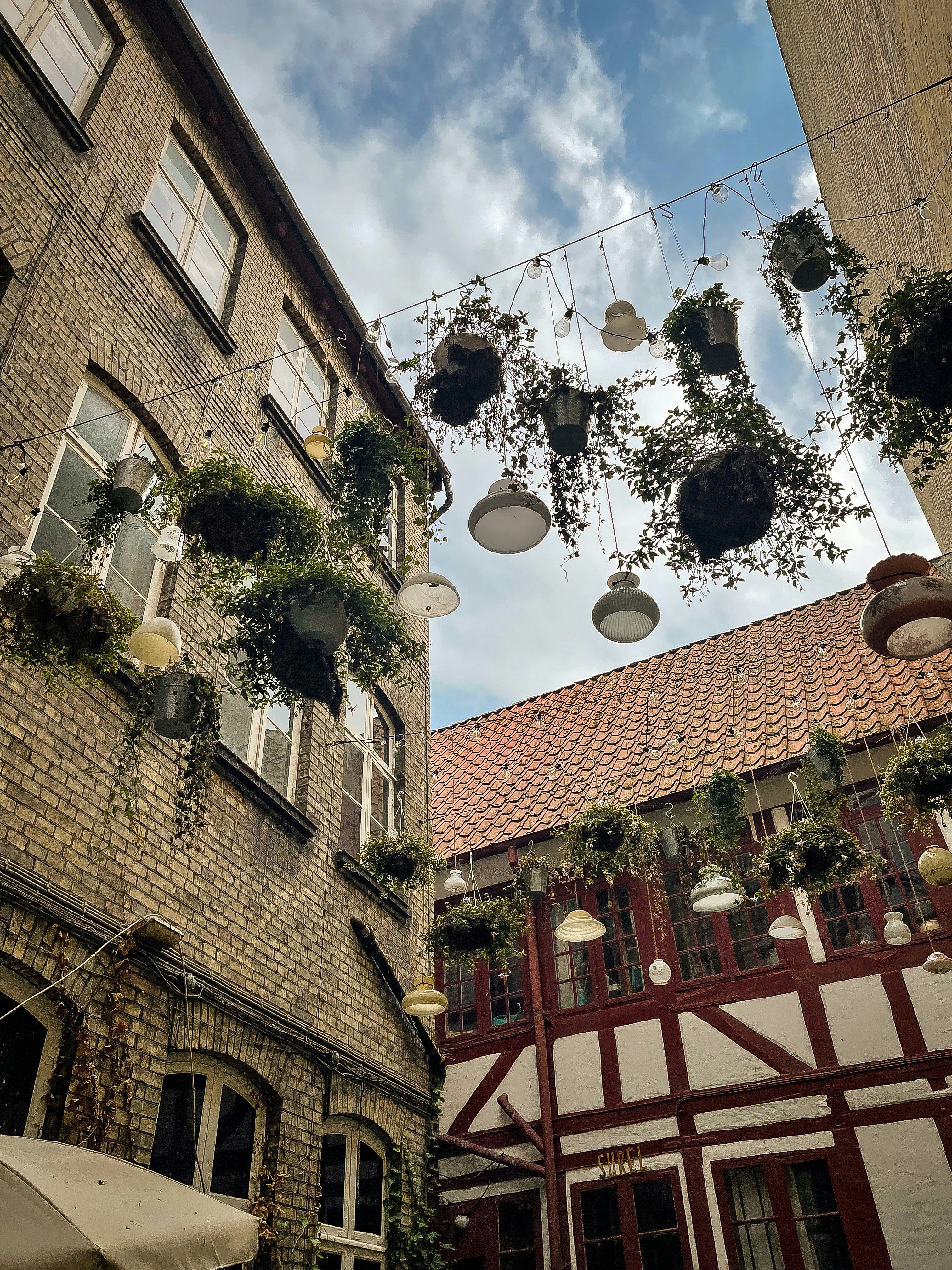 Odense – Natural Environment & Landscapes