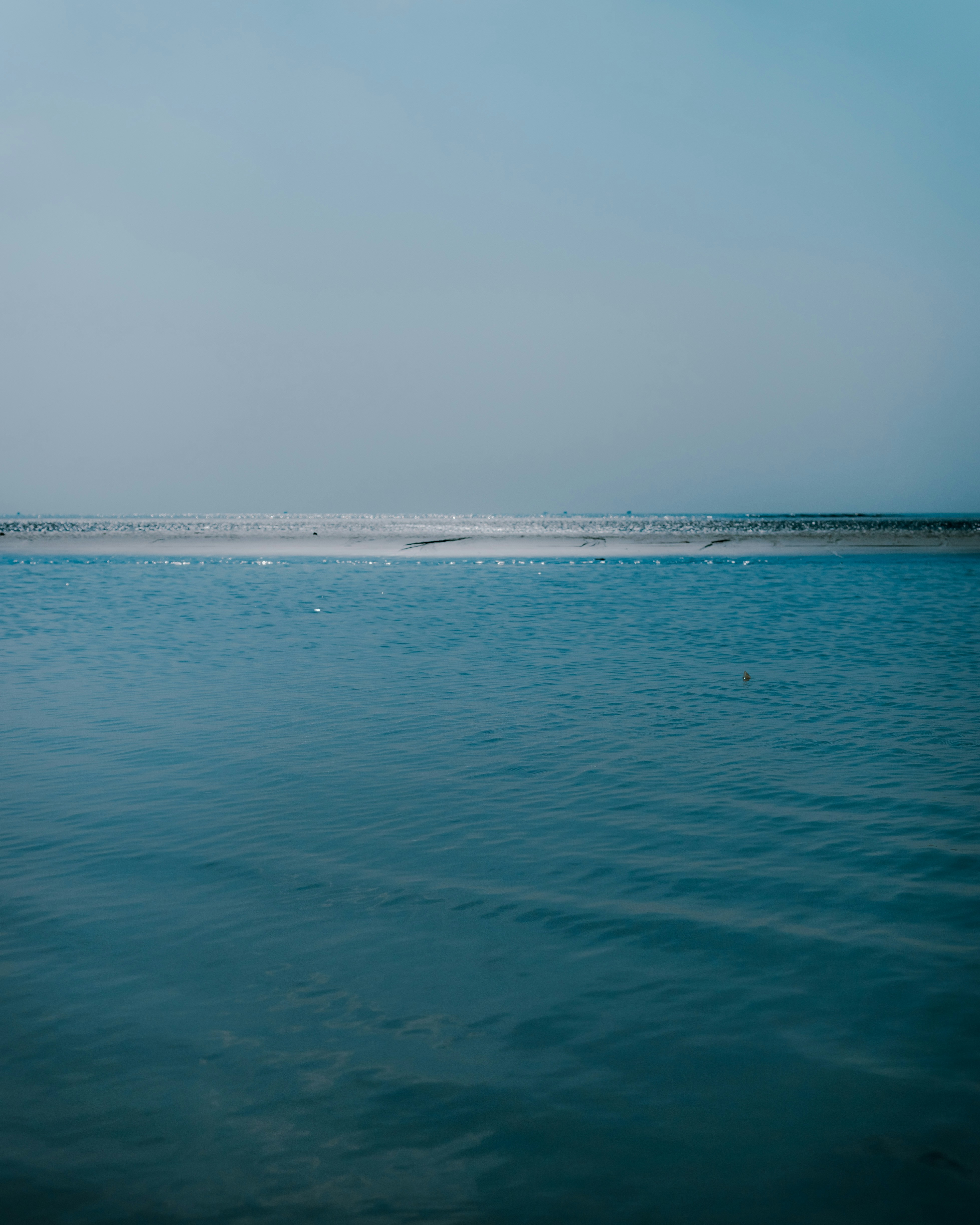 Photo by shuvrosettledown