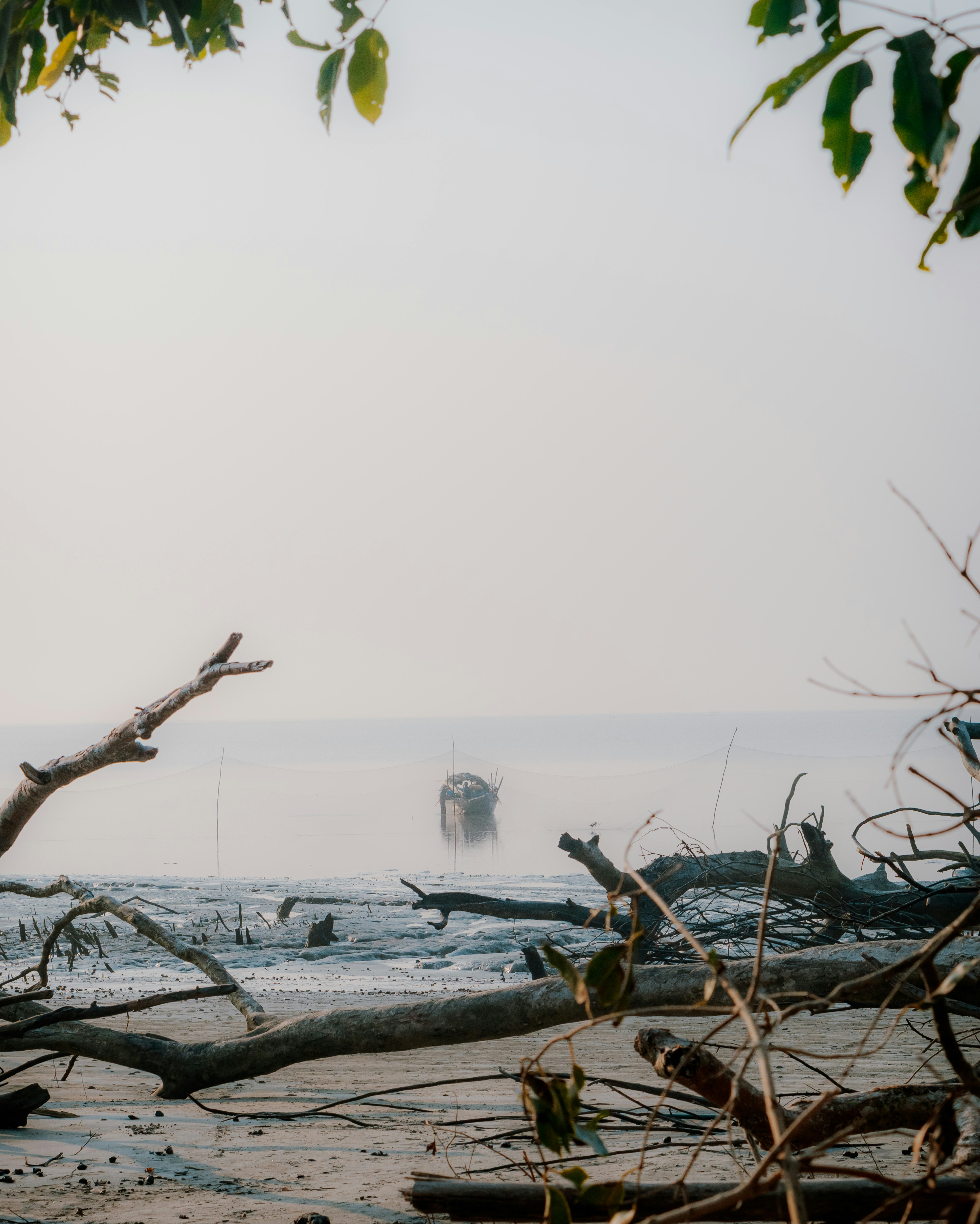 Photo by shuvrosettledown