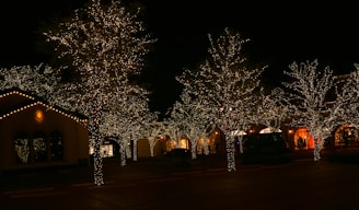 Warm white lights artistically wrapped around outdoor trees in a commercial plaza during Christmas night.