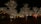 Trees are adorned with numerous small white lights, creating a festive and elegant atmosphere. Buildings in the background are also subtly lit, and the scene is set during nighttime, contributing to a warm and inviting ambiance.