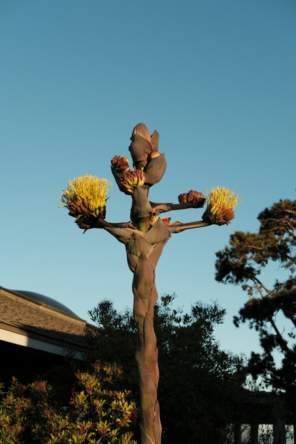 a sculpture of a person holding two flowers