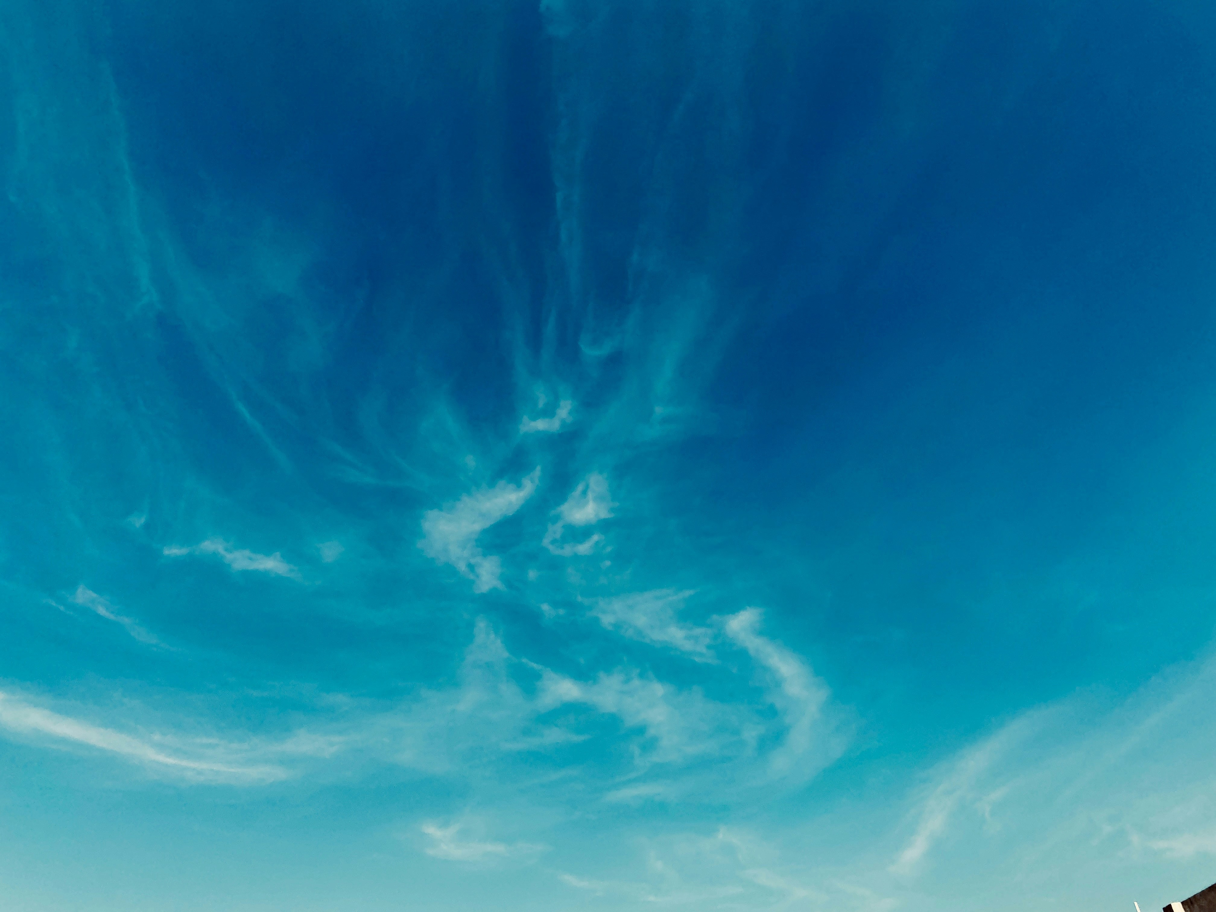 Photo by phenomenal_clicks