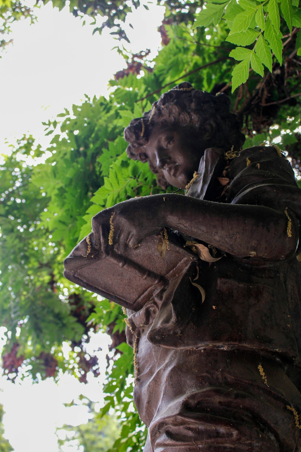 a statue of a man holding a book under a tree