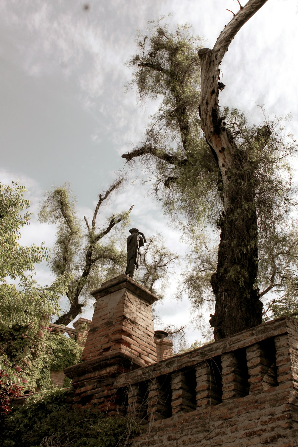 a man standing on top of a brick wall next to a tree