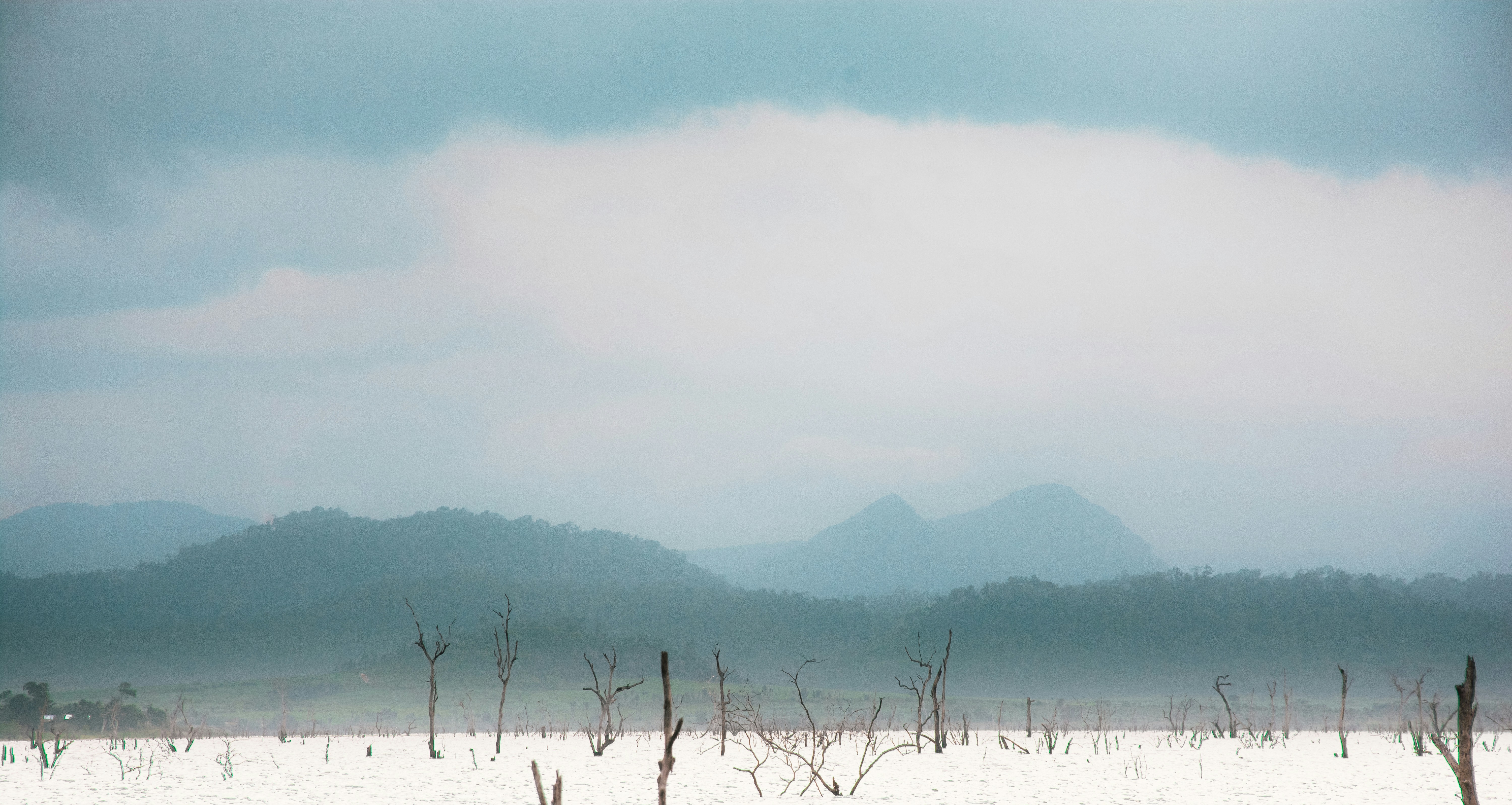 Photo by djimies_kim