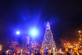 A vibrant display of colorful Christmas lights illuminating a festive scene.