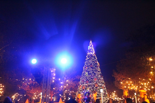 A vibrant display of colorful Christmas lights illuminating a festive scene.