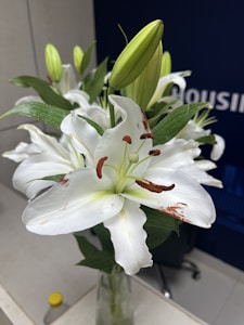 Fresh-Cut Lilies