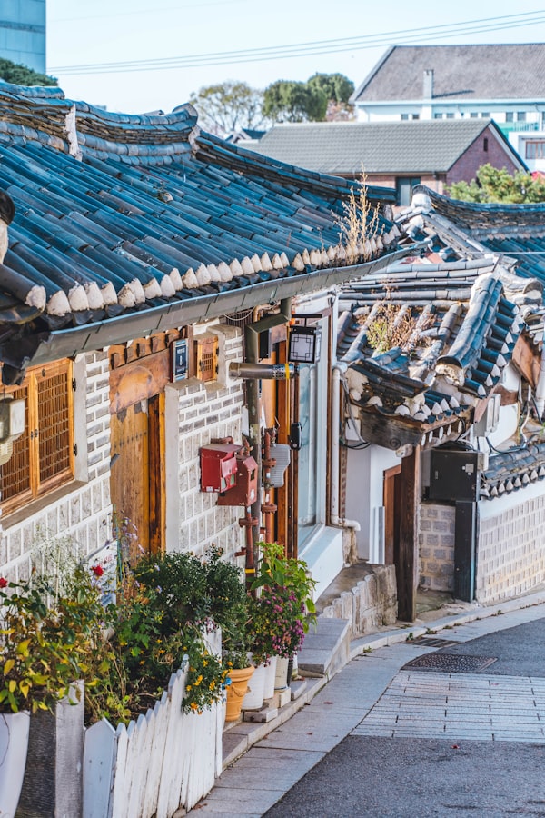 Hidden Saju Master in Old Seoul Alley 2