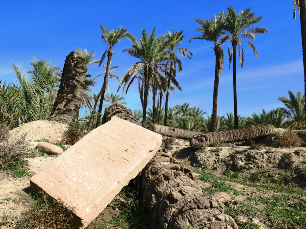 a large rock laying on top of a lush green field