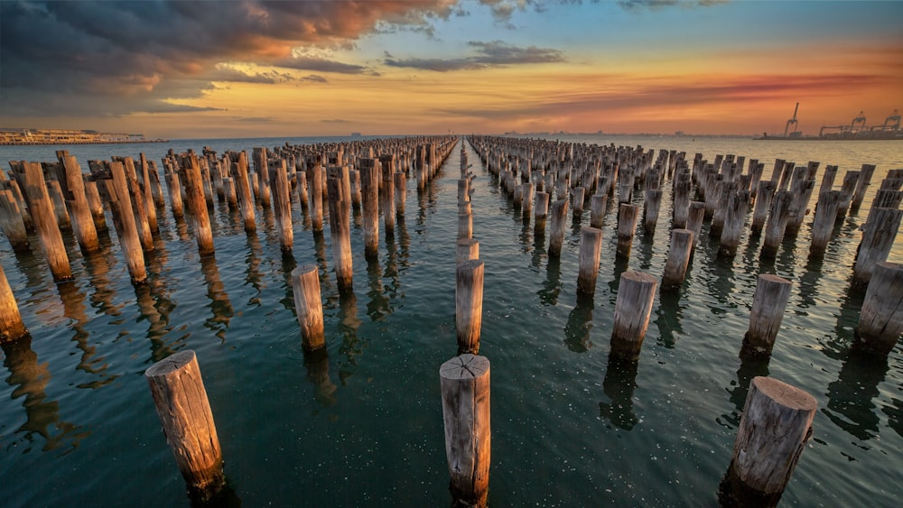 a large body of water with a bunch of poles sticking out of it