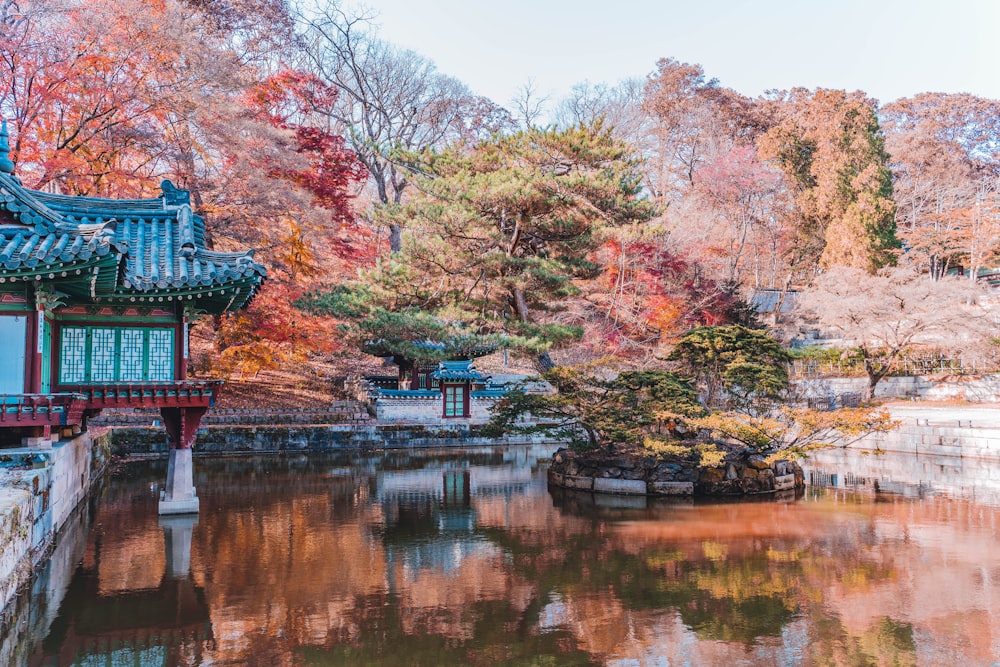 a pond in a park with a building in the background