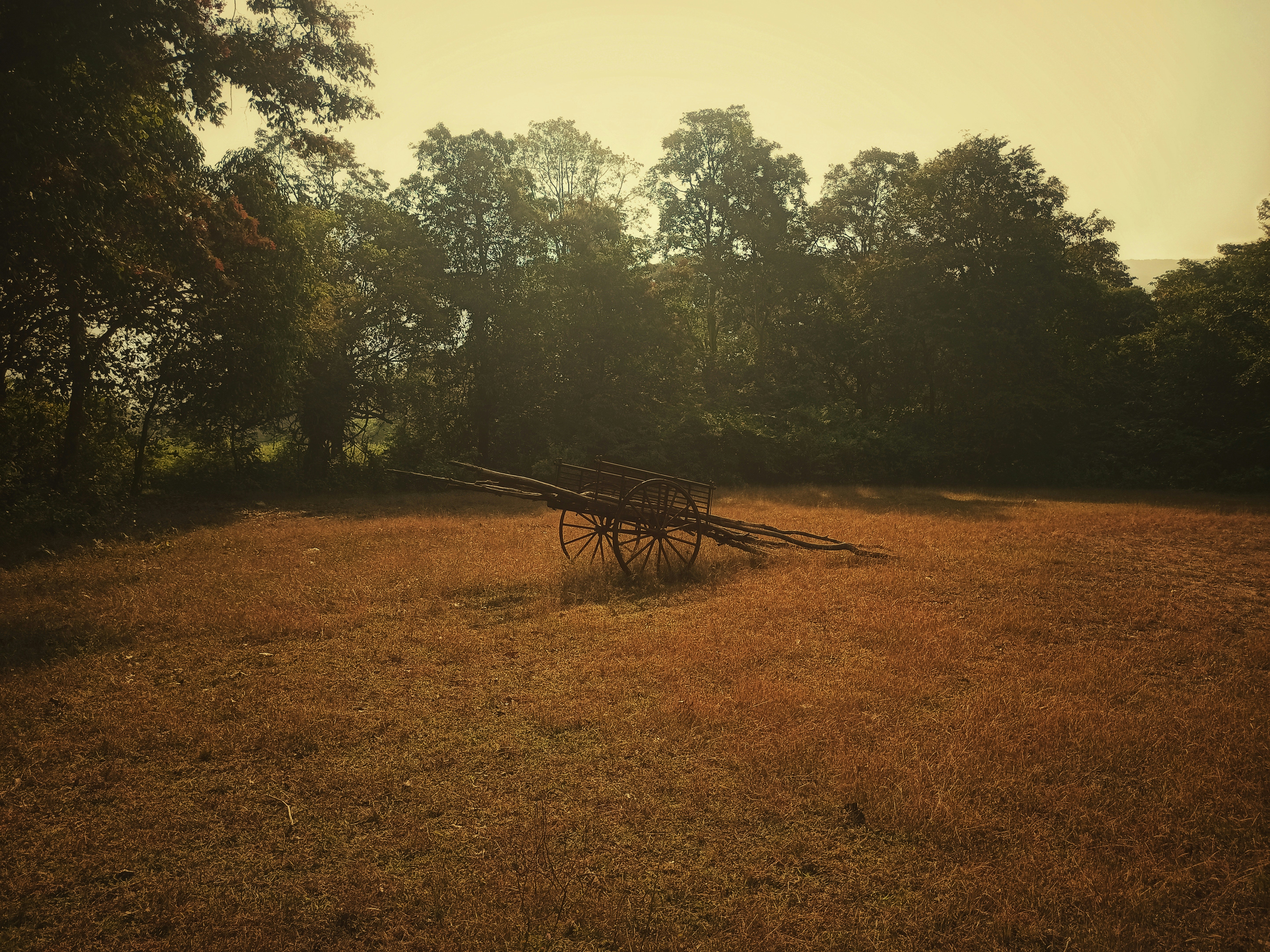 ein Holzwagen auf einem Feld mit Bäumen im Hintergrund