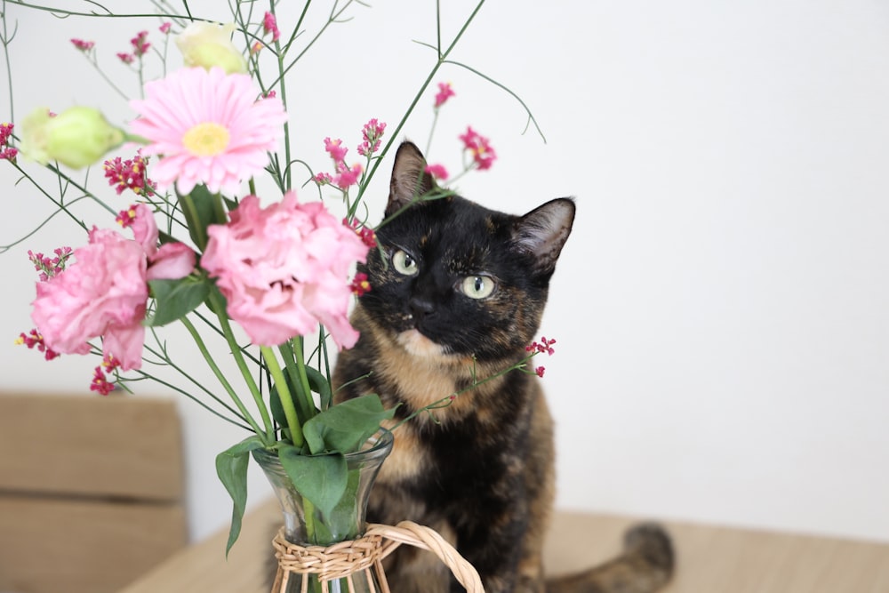a cat sitting on a table next to a vase of flowers
