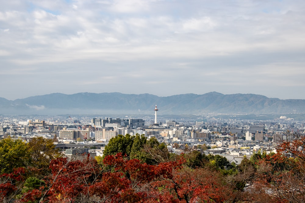 a view of a city with mountains in the background