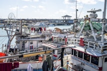 Several fishing boats are docked at a harbor, equipped with various fishing gear and equipment. Clothes are hung out on lines to dry, and a dog is walking on one of the boats. The background features a pier and a gazebo-like structure with people walking and viewing the water.