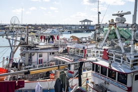 Several fishing boats are docked at a harbor, equipped with various fishing gear and equipment. Clothes are hung out on lines to dry, and a dog is walking on one of the boats. The background features a pier and a gazebo-like structure with people walking and viewing the water.