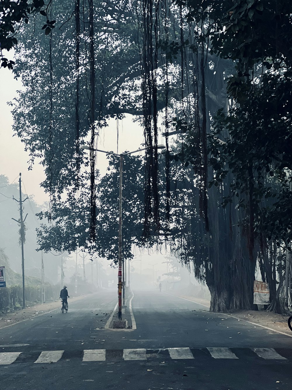 Una persona montando una bicicleta por una calle en la niebla