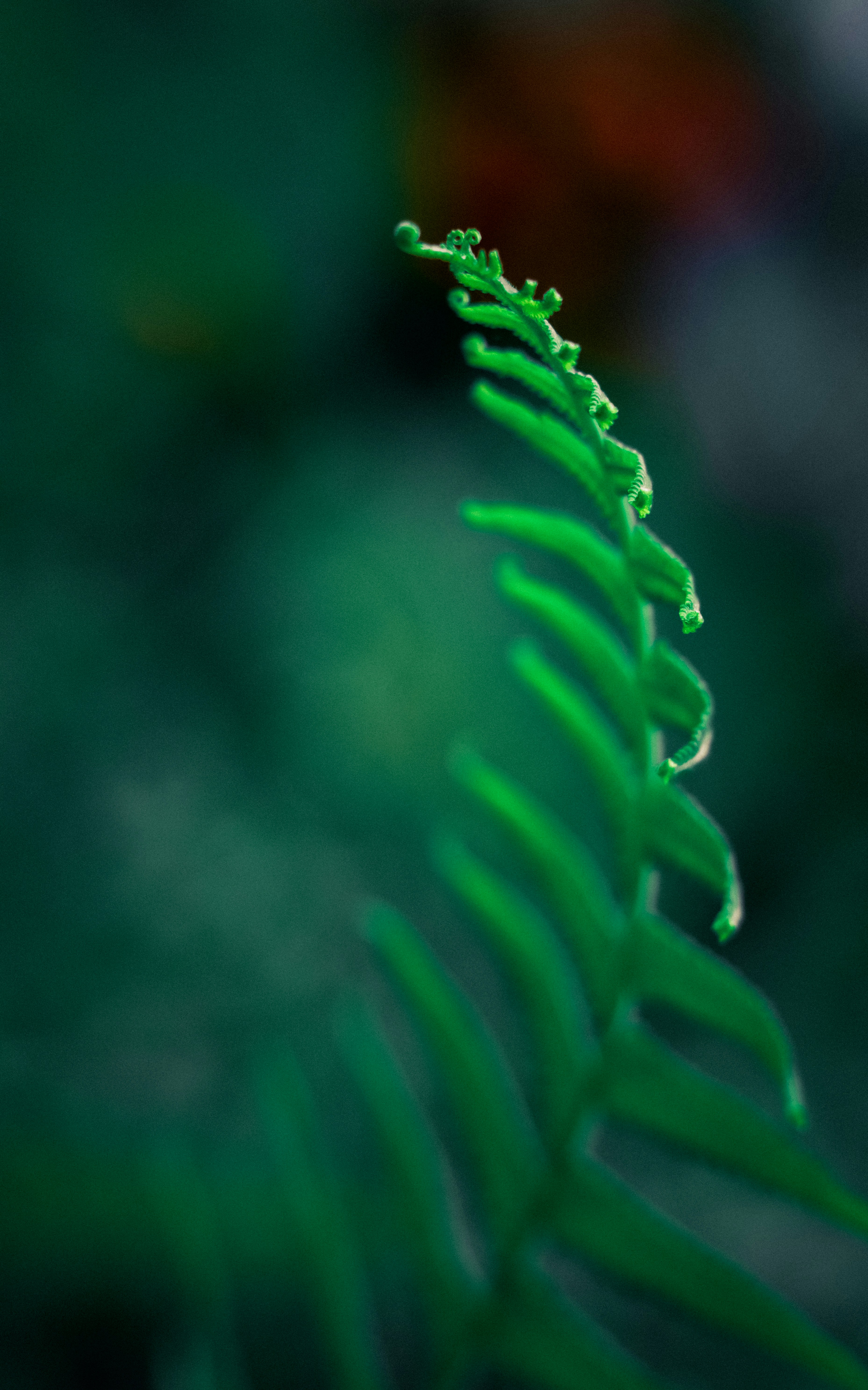 Photo by soonamwooeser