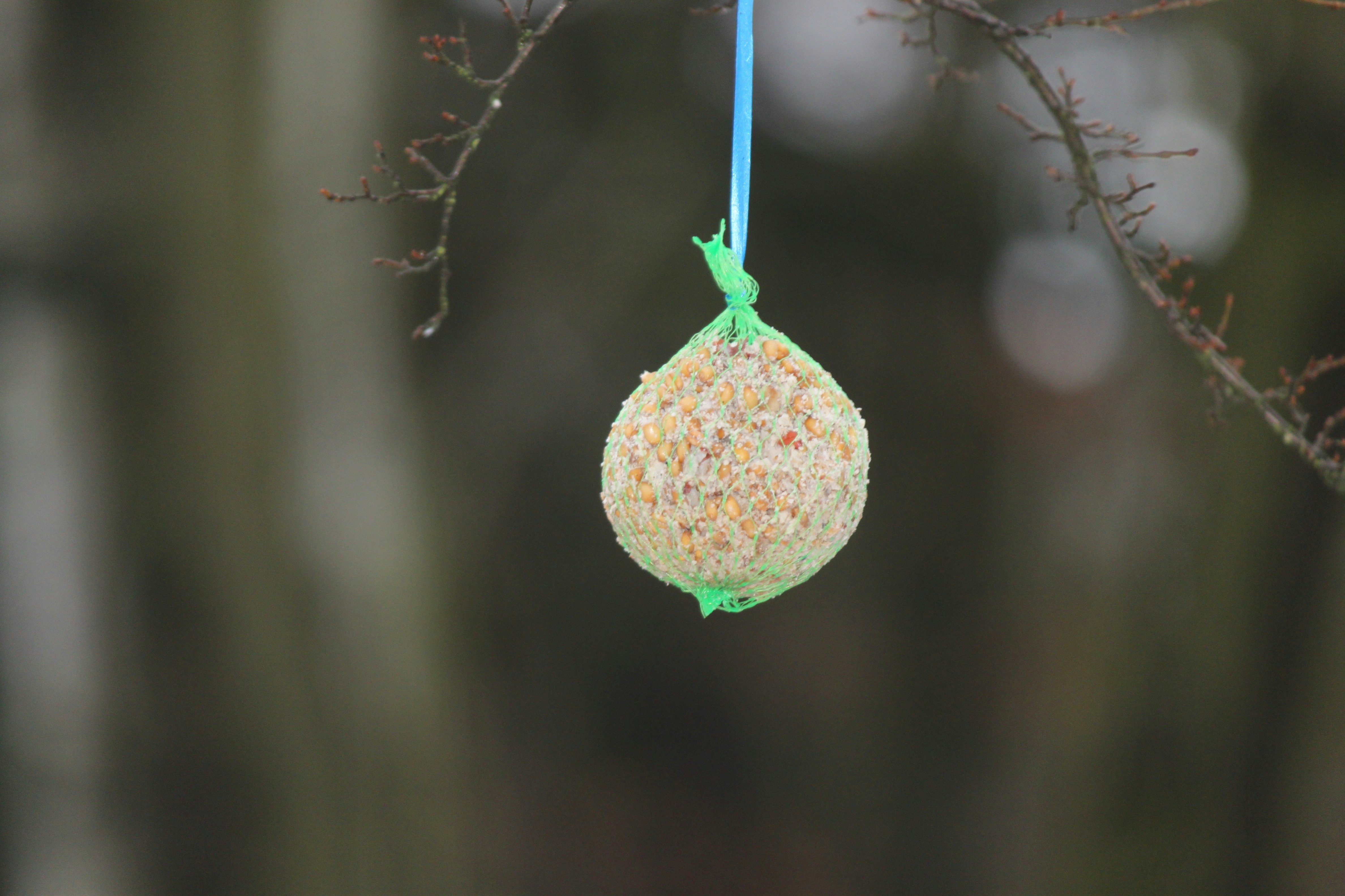 The Essential Guide to Bird Netting Services