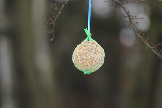 A bird feeder made of seeds is hanging from a thin branch. It is enclosed in a net and suspended by a blue string against a blurred, natural background.