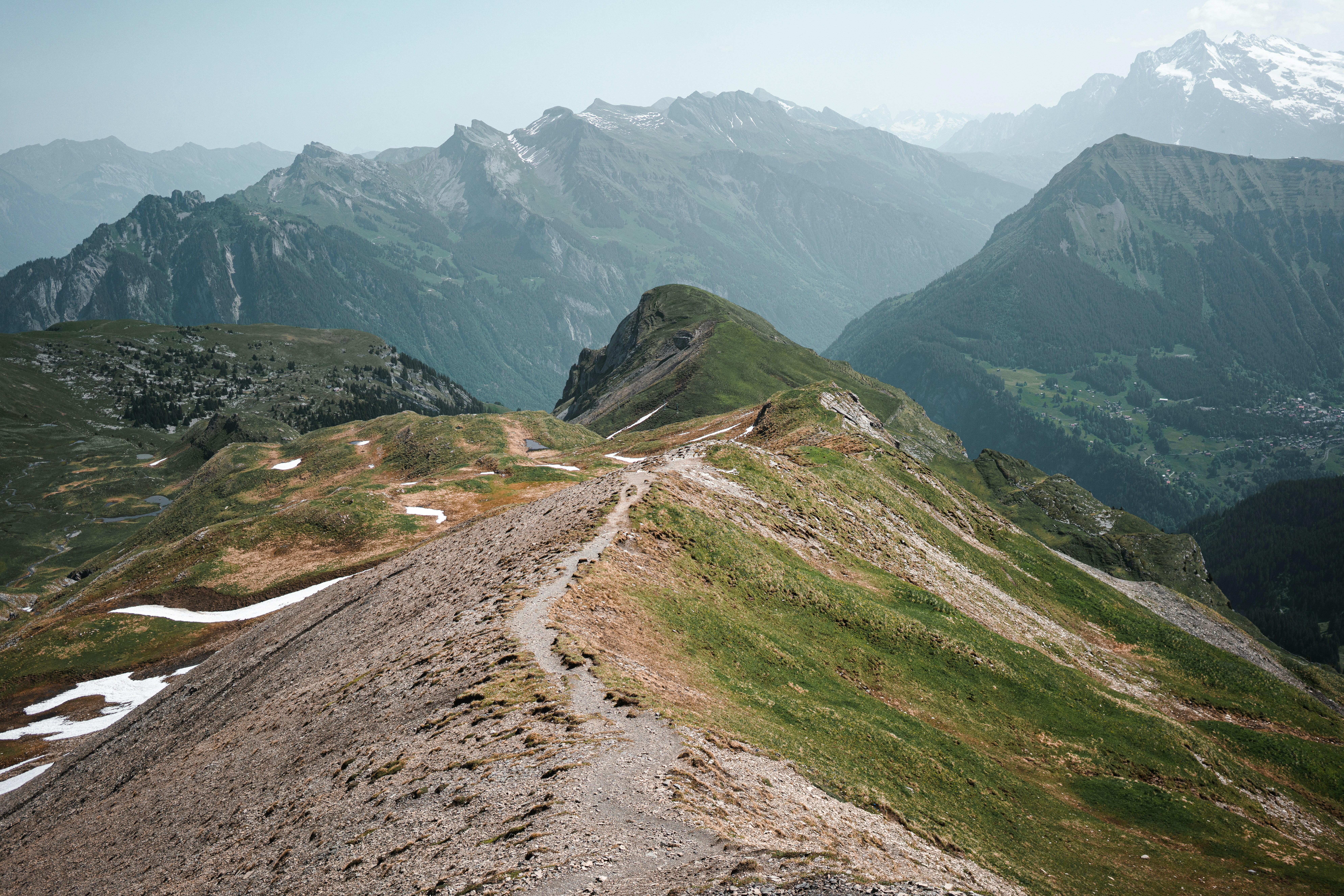 Photo by anthonygomez