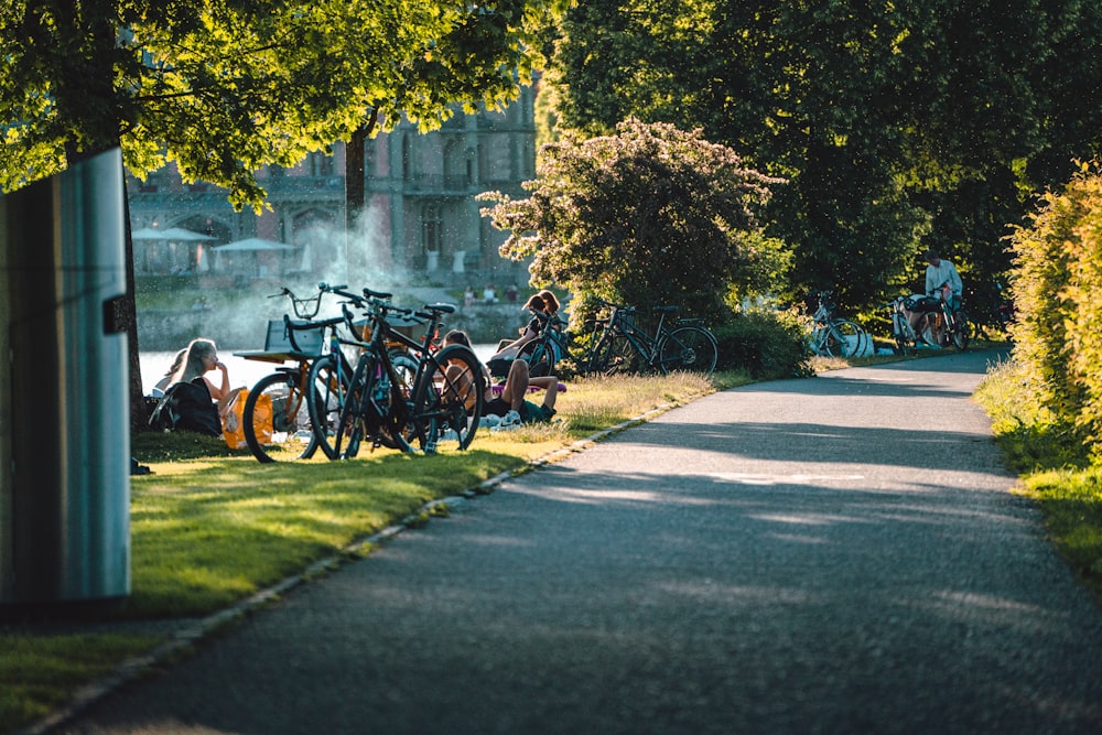 bicycles parked on the side of a road next to trees